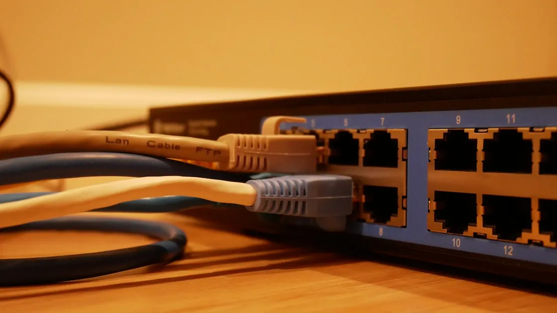 Network Switch used by TensorDock. If you will be using this image, it would be greatly appreciated if you could link back...