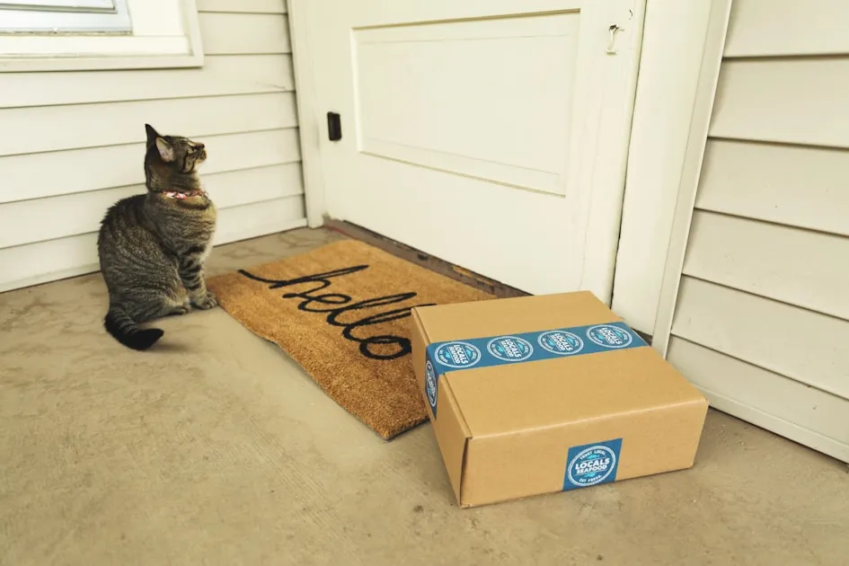 brown tabby cat on brown cardboard box — Gửi Hàng Dễ Vỡ Viettel Post - Đóng Gói An Toàn, Đền Bù 100%